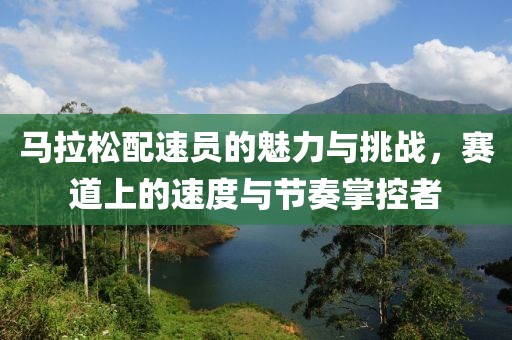 马拉松配速员的魅力与挑战，赛道上的速度与节奏掌控者