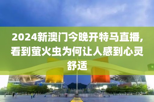 2024新澳门今晚开特马直播,看到萤火虫为何让人感到心灵舒适