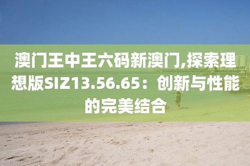 澳门王中王六码新澳门,探索理想版SIZ13.56.65：创新与性能的完美结合