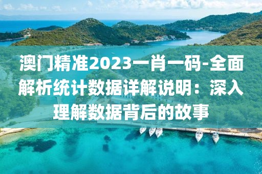 澳门精准2023一肖一码-全面解析统计数据详解说明：深入理解数据背后的故事