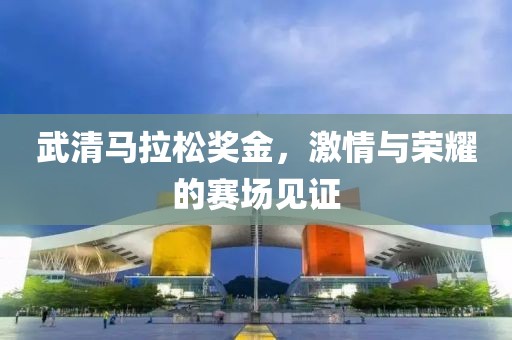 武清马拉松奖金，激情与荣耀的赛场见证