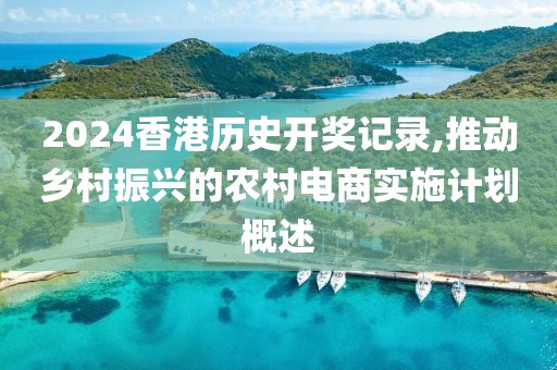 2024香港历史开奖记录,推动乡村振兴的农村电商实施计划概述