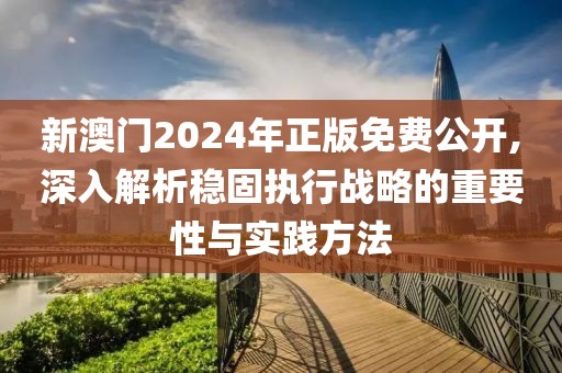 新澳门2024年正版免费公开,深入解析稳固执行战略的重要性与实践方法