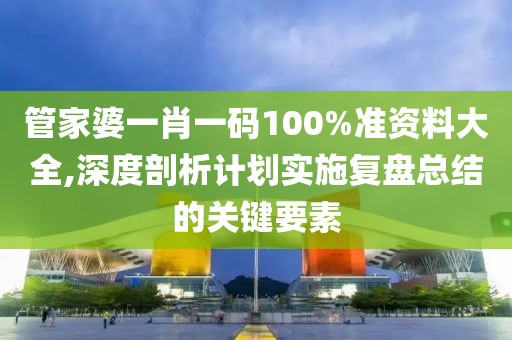 管家婆一肖一码100%准资料大全,深度剖析计划实施复盘总结的关键要素