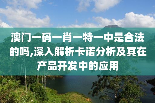澳门一码一肖一特一中是合法的吗,深入解析卡诺分析及其在产品开发中的应用