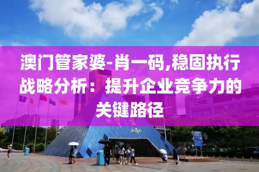 澳门管家婆-肖一码,稳固执行战略分析：提升企业竞争力的关键路径