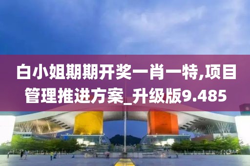 白小姐期期开奖一肖一特,项目管理推进方案_升级版9.485