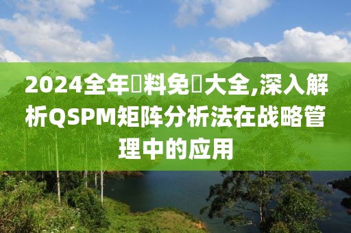2024全年資料免費大全,深入解析QSPM矩阵分析法在战略管理中的应用