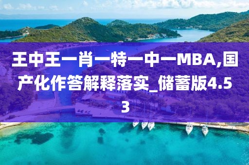 王中王一肖一特一中一MBA,国产化作答解释落实_储蓄版4.53