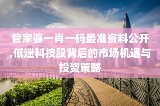 管家婆一肖一码最准资料公开,低迷科技股背后的市场机遇与投资策略