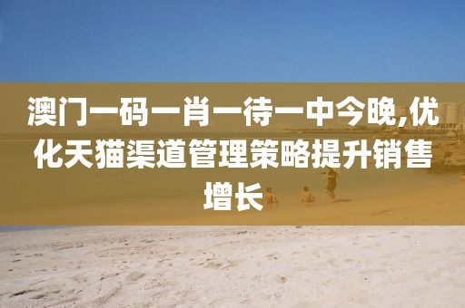 澳门一码一肖一待一中今晚,优化天猫渠道管理策略提升销售增长