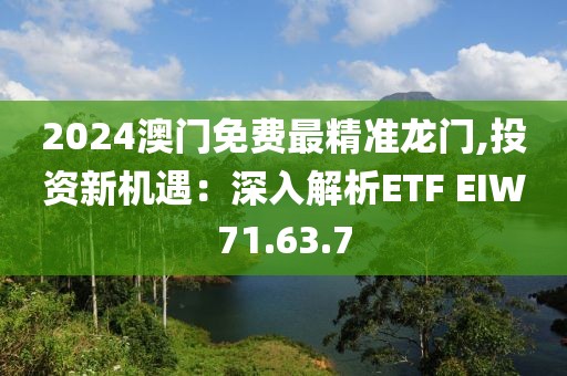 2024澳门免费最精准龙门,投资新机遇：深入解析ETF EIW71.63.7
