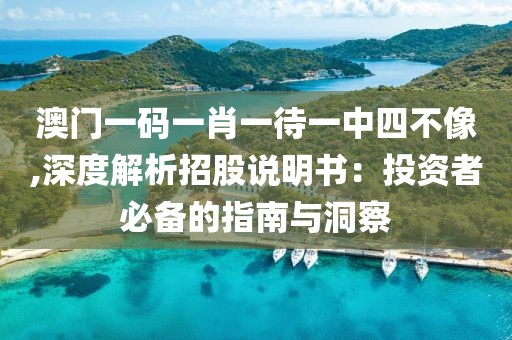澳门一码一肖一待一中四不像,深度解析招股说明书：投资者必备的指南与洞察