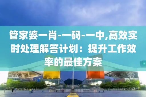 管家婆一肖-一码-一中,高效实时处理解答计划：提升工作效率的最佳方案