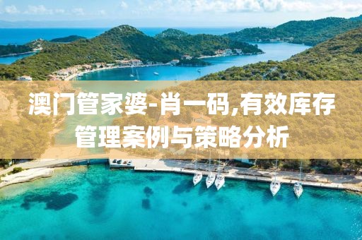 澳门管家婆-肖一码,有效库存管理案例与策略分析