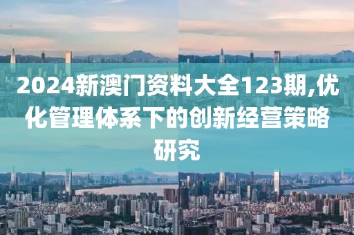 2024新澳门资料大全123期,优化管理体系下的创新经营策略研究