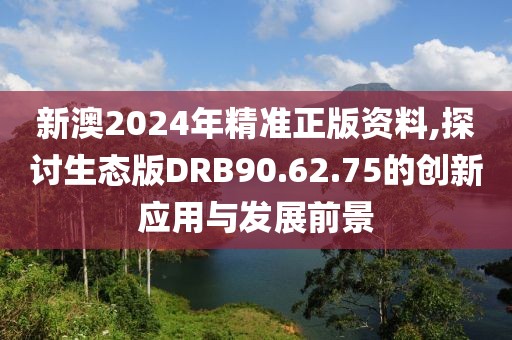 新澳2024年精准正版资料,探讨生态版DRB90.62.75的创新应用与发展前景
