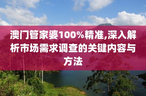 澳门管家婆100%精准,深入解析市场需求调查的关键内容与方法