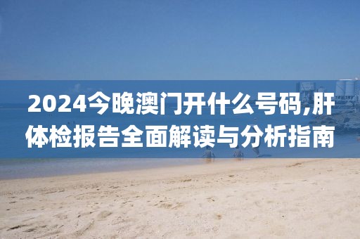 2024今晚澳门开什么号码,肝体检报告全面解读与分析指南