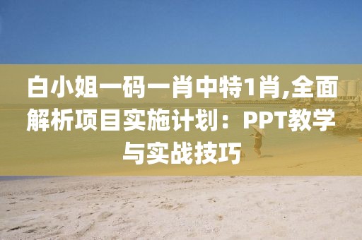 白小姐一码一肖中特1肖,全面解析项目实施计划：PPT教学与实战技巧