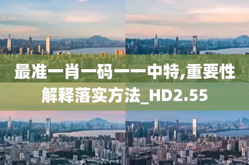 最准一肖一码一一中特,重要性解释落实方法_HD2.55