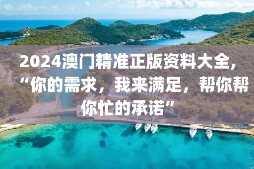2024澳门精准正版资料大全,“你的需求，我来满足，帮你帮你忙的承诺”