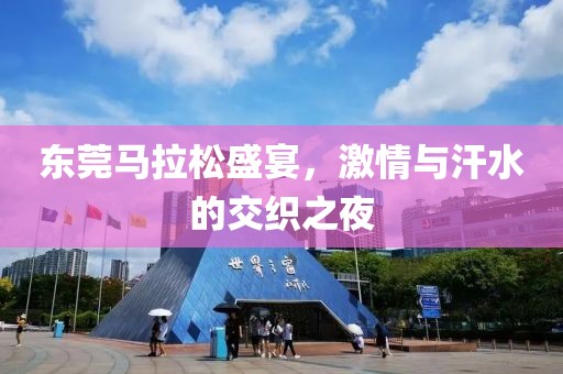 东莞马拉松盛宴，激情与汗水的交织之夜