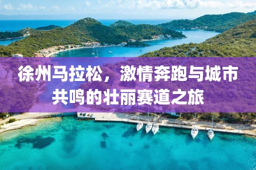 徐州马拉松，激情奔跑与城市共鸣的壮丽赛道之旅