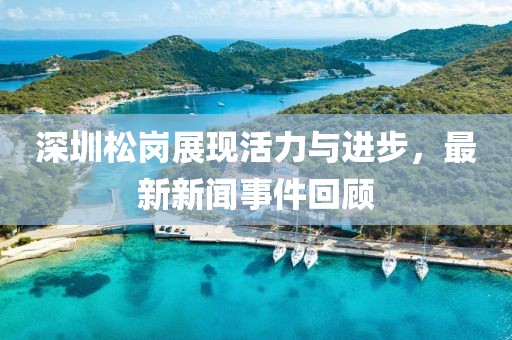 深圳松岗展现活力与进步，最新新闻事件回顾