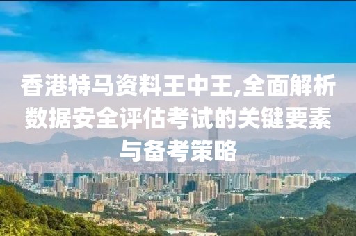 香港特马资料王中王,全面解析数据安全评估考试的关键要素与备考策略
