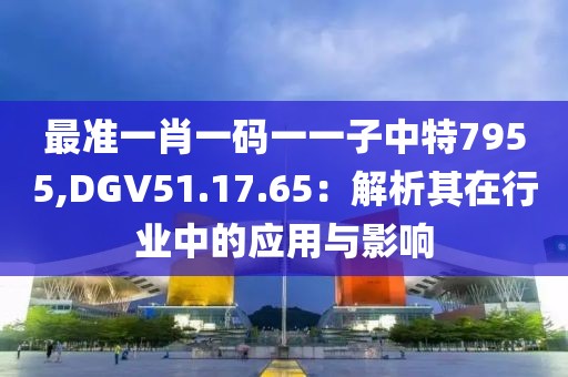 最准一肖一码一一子中特7955,DGV51.17.65：解析其在行业中的应用与影响
