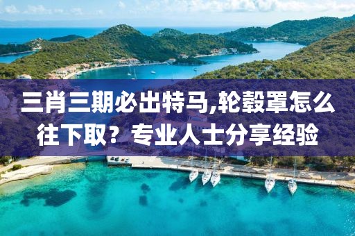 三肖三期必出特马,轮毂罩怎么往下取？专业人士分享经验