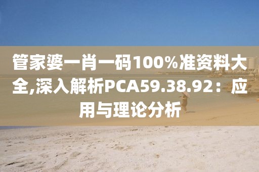管家婆一肖一码100%准资料大全,深入解析PCA59.38.92：应用与理论分析