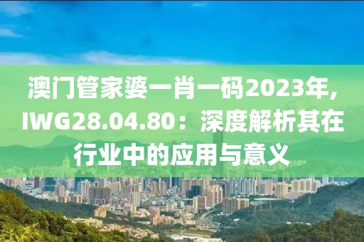 澳门管家婆一肖一码2023年,IWG28.04.80：深度解析其在行业中的应用与意义