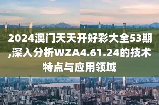2024澳门天天开好彩大全53期,深入分析WZA4.61.24的技术特点与应用领域
