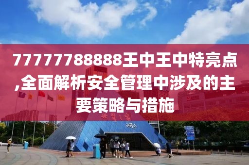 77777788888王中王中特亮点,全面解析安全管理中涉及的主要策略与措施