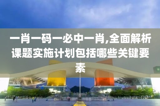 一肖一码一必中一肖,全面解析课题实施计划包括哪些关键要素
