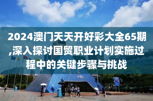 2024澳门天天开好彩大全65期,深入探讨国贸职业计划实施过程中的关键步骤与挑战