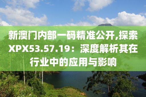 新澳门内部一码精准公开,探索XPX53.57.19：深度解析其在行业中的应用与影响
