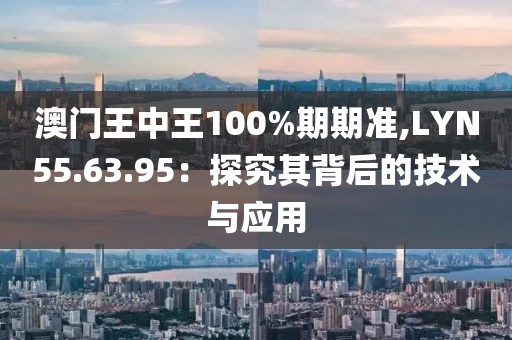 澳门王中王100%期期准,LYN55.63.95：探究其背后的技术与应用