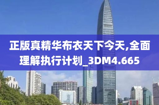 正版真精华布衣天下今天,全面理解执行计划_3DM4.665