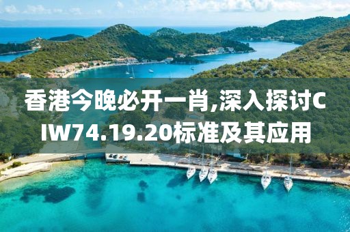 香港今晚必开一肖,深入探讨CIW74.19.20标准及其应用