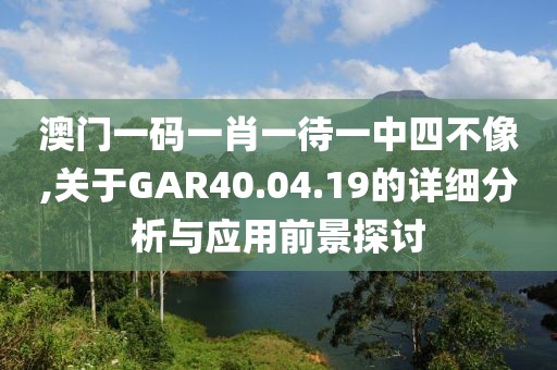 澳门一码一肖一待一中四不像,关于GAR40.04.19的详细分析与应用前景探讨