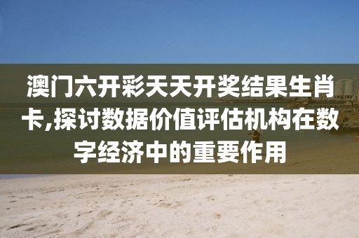 澳门六开彩天天开奖结果生肖卡,探讨数据价值评估机构在数字经济中的重要作用