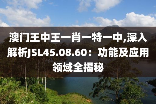 澳门王中王一肖一特一中,深入解析JSL45.08.60：功能及应用领域全揭秘