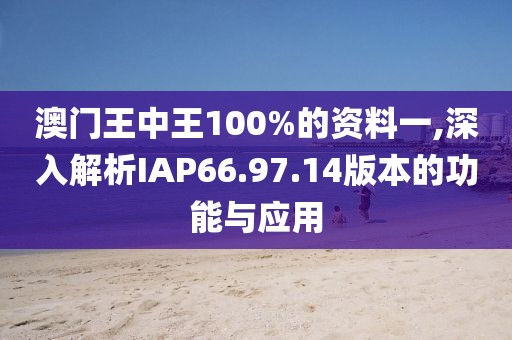 澳门王中王100%的资料一,深入解析IAP66.97.14版本的功能与应用
