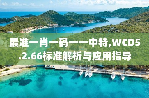 最准一肖一码一一中特,WCD5.2.66标准解析与应用指导