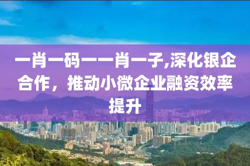 一肖一码一一肖一子,深化银企合作，推动小微企业融资效率提升