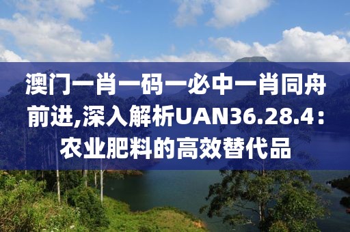 澳门一肖一码一必中一肖同舟前进,深入解析UAN36.28.4：农业肥料的高效替代品