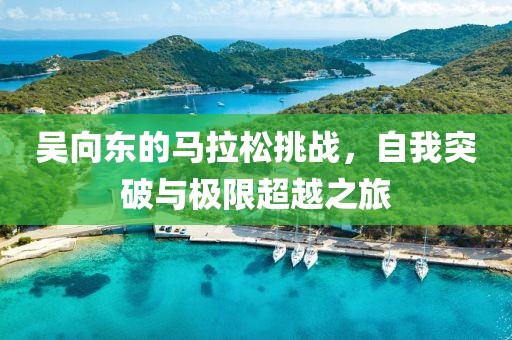吴向东的马拉松挑战，自我突破与极限超越之旅